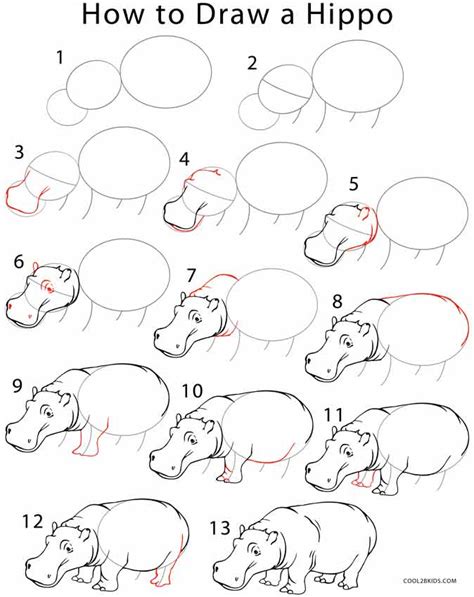 drawing hayop|How To Draw A Hippo With Shapes .